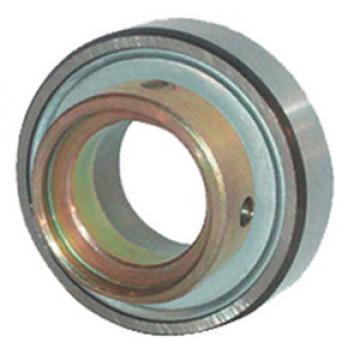 INA RALE30-NPP-FA106 Insert Bearings Cylindrical OD