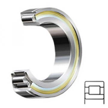 SKF NJ 2004 EV/C3 services Cylindrical Roller Bearings