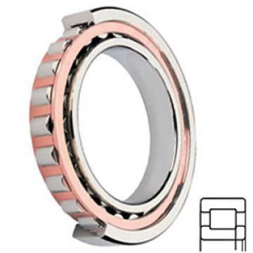 NSK NUP205ET services Cylindrical Roller Bearings