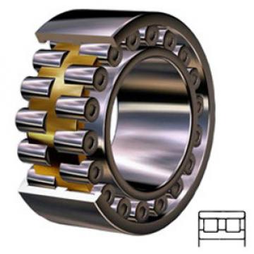 NTN NN4924KD1C1NAP4 Cylindrical Roller Bearings