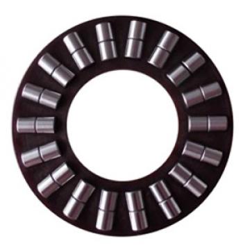 INA K89306TN Thrust Roller Bearing