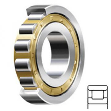NSK N206M services Cylindrical Roller Bearings