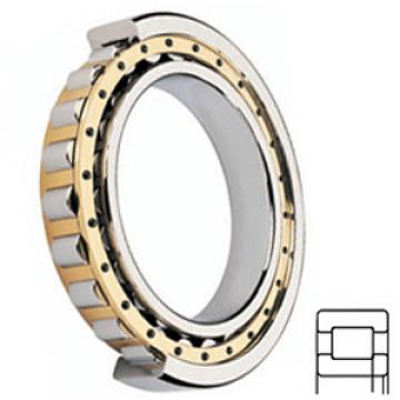 FAG BEARING NUP2312-E-M1-C3 services Cylindrical Roller Bearings
