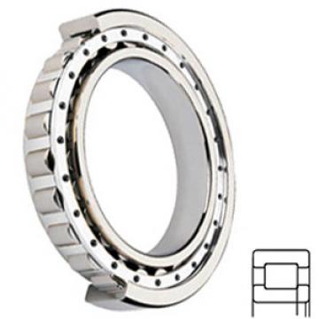 NSK NUP204W services Cylindrical Roller Bearings