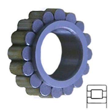 INA RSL182208 Cylindrical Roller Bearings