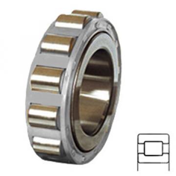 NTN RU1545L services Cylindrical Roller Bearings