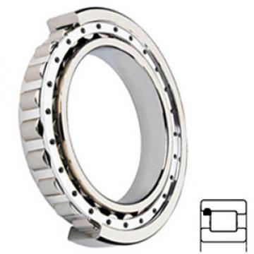 NTN MUF5210UV services Cylindrical Roller Bearings