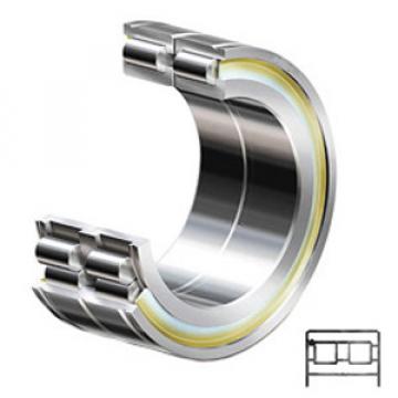 INA SL04130-PP services Cylindrical Roller Bearings