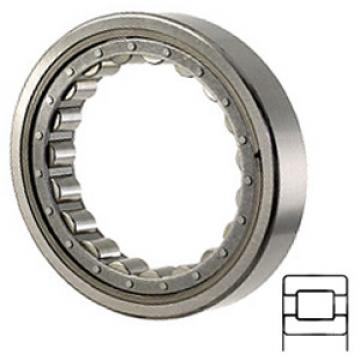 TORRINGTON 5226-WS services Cylindrical Roller Bearings