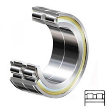 INA SL06024E C3 services Cylindrical Roller Bearings