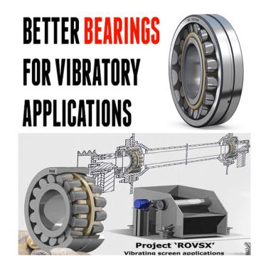 FAG Vibratory Machinery Roller Bearings NUP2305ET