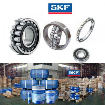 SKF distributors services in Singapore