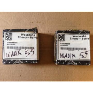 2 - Waukesha Cherry - Burrell CD003600 Radial Bearing