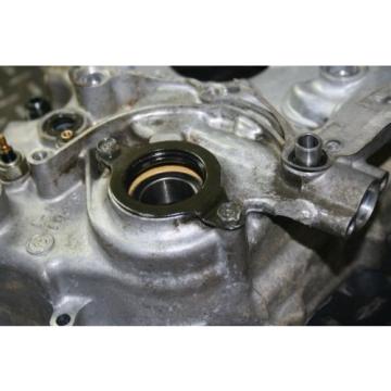 2003 Yamaha Raptor 660 Motor/Engine Crank Case with Bearings Chain Damage