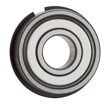 6004ZNR, Single Row Radial Ball Bearing - Single Shielded w/ Snap Ring