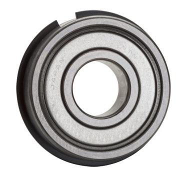 6006ZZNR, Single Row Radial Ball Bearing - Double Shielded w/ Snap Ring