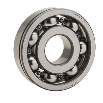 6007N, Single Row Radial Ball Bearing - Open Type, Snap Ring Groove
