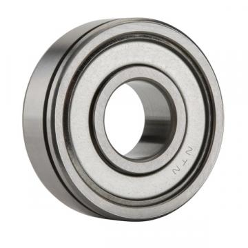 6010ZZN, Single Row Radial Ball Bearing - Double Shielded, Snap Ring Groove