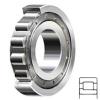 NSK NJ205W services Cylindrical Roller Bearings