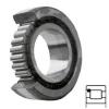 INA SL181876E C3 services Cylindrical Roller Bearings #1 small image