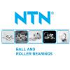 NTN distributor service in Singapore