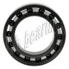 6006 Full Ceramic Silicon Nitride Bearing 30x55x13 Ball Bearings 8225 #1 small image