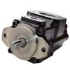 Double Hydraulic Vane Pump Replacement Denison T6CC-08-28-1R02-C100, 1.61