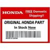 Honda OEM HT Radial Ball Bearing (6203) 91003-750-003