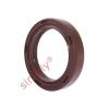 20x32x5mm TC / R23 Double Lip Viton Rubber Metric Shaft Oil Seal with Spring #1 small image