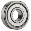 60/32ZNC3, Single Row Radial Ball Bearing - Single Shielded w/ Snap Ring Groove #1 small image