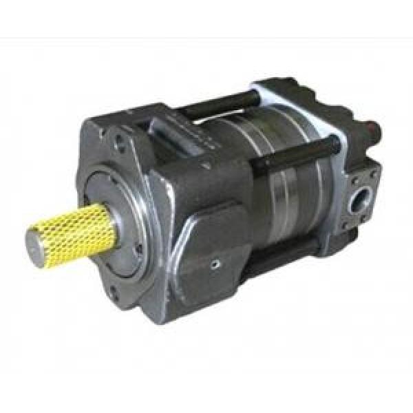 QT22-6.3L-A QT Series Gear Pump #1 image