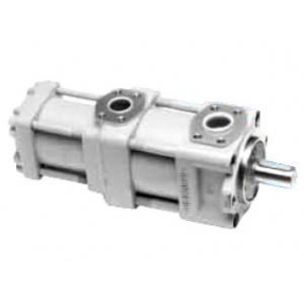 QT2323-6.3-6.3MN-S1162-A QT Series Double Gear Pump #1 image