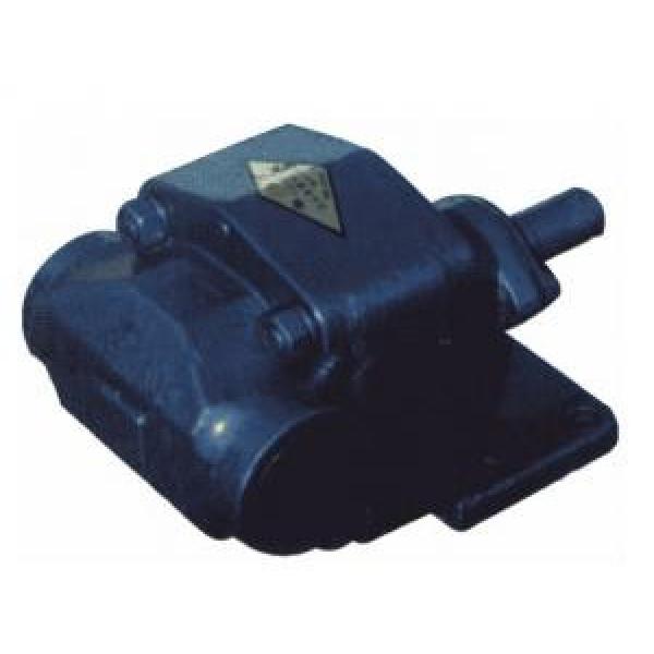BCB Series Gear Oil Pump BCB-16/1.6 #1 image