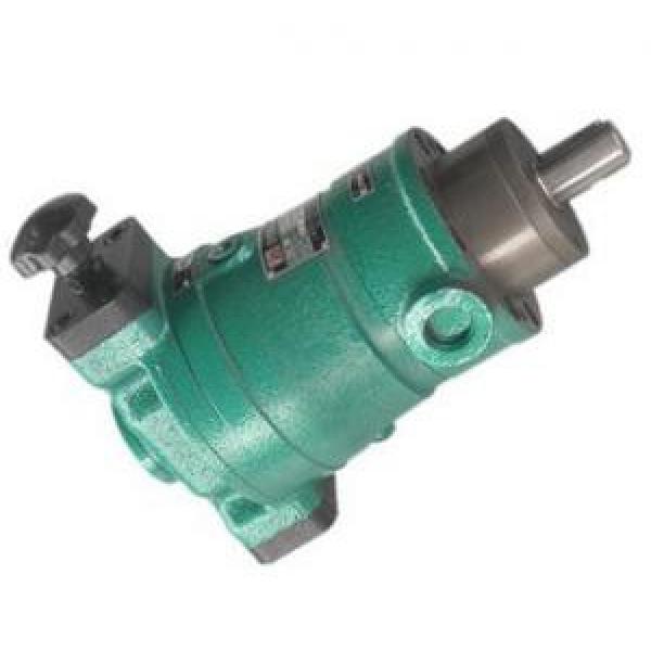 13SCY14-1B  axial plunger pump supply #1 image