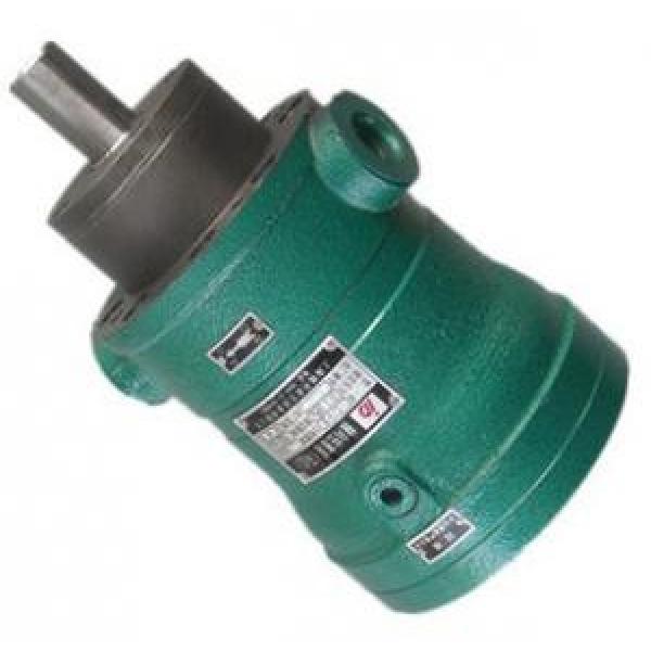 400MCY14-1B  fixed displacement piston pump supply #1 image