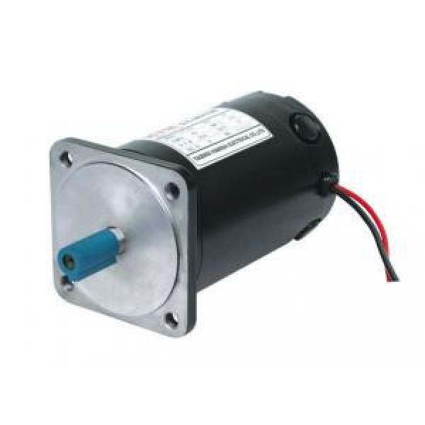 100ZYT Series Electric DC Motor #1 image