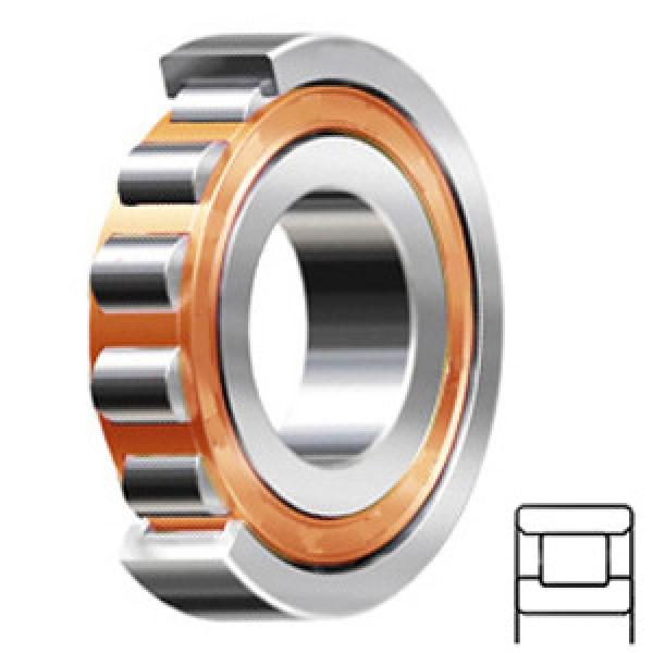 SKF N 1017 KTN9/SPVR522 Cylindrical Roller Bearings #1 image