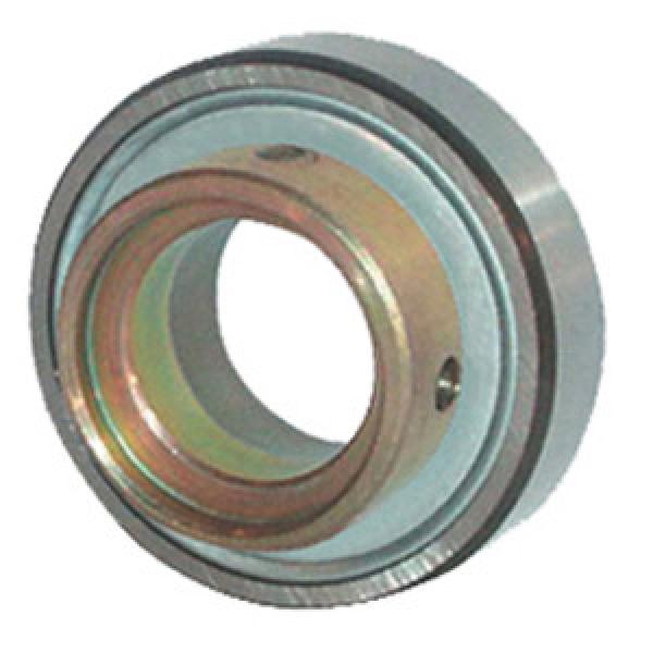 INA RALE30-NPP-FA106 Insert Bearings Cylindrical OD #1 image