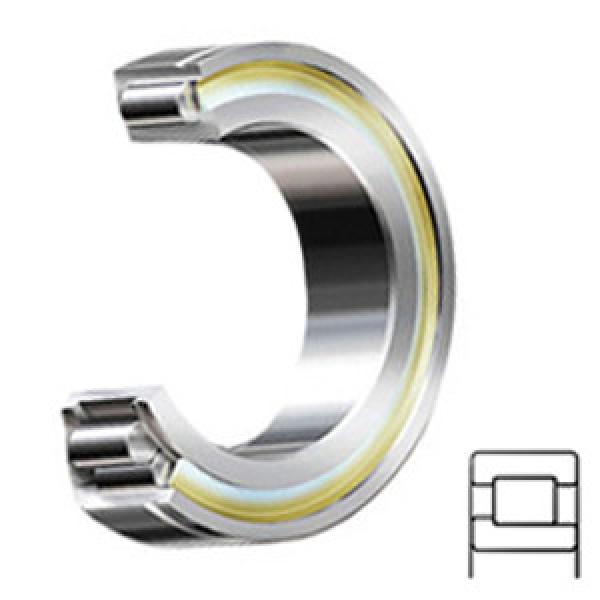 INA SL192306 services Cylindrical Roller Bearings #1 image