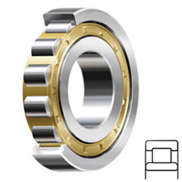FAG BEARING NU415-M1 Cylindrical Roller Bearings #1 image