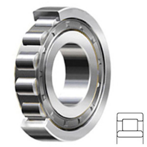 FAG BEARING NU1005-M1 services Cylindrical Roller Bearings #1 image