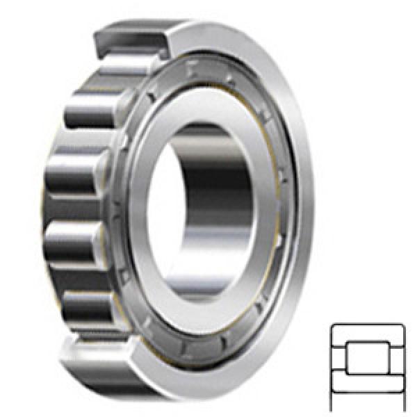 NSK NJ206W services Cylindrical Roller Bearings #1 image