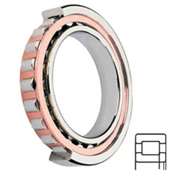 FAG BEARING NUP208E.TVP2 services Cylindrical Roller Bearings #1 image