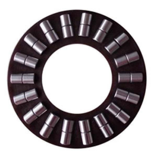 INA K89306TN Thrust Roller Bearing #1 image