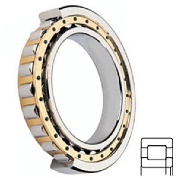 FAG BEARING NUP212-E-M1 services Cylindrical Roller Bearings #1 image