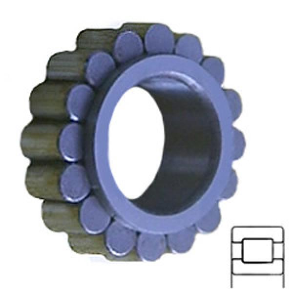 INA RSL182206 services Cylindrical Roller Bearings #1 image