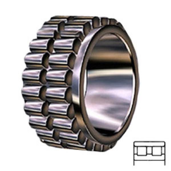 INA RSL185018 services Cylindrical Roller Bearings #1 image