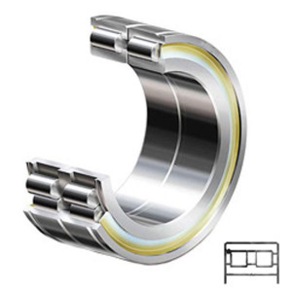 INA SL04130-PP services Cylindrical Roller Bearings #1 image