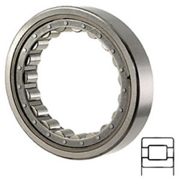 TORRINGTON 5222-WS services Cylindrical Roller Bearings #1 image