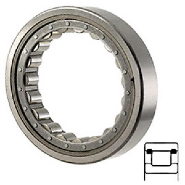 NTN M1206TV services Cylindrical Roller Bearings #1 image